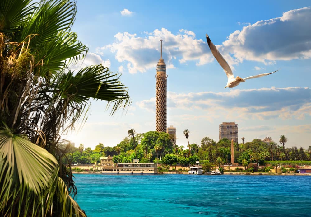 Egypt branch